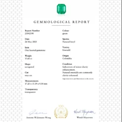 Jewels Aficionado One-of-a-Kind Octagonal-Cut Colombian Emerald Ring With Diamonds 11 Jewels Aficionado One-of-a-Kind Octagonal-Cut Colombian Emerald Ring With Diamonds -Horaluxis Sales Store one of a kind octagonal cut colombian emerald ring with diamonds jewels aficionado 41172656783604