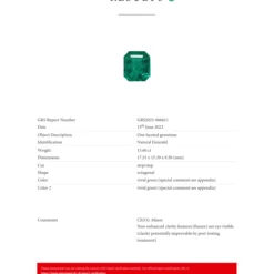 Jewels Aficionado One-of-a-Kind Octagonal-Cut Colombian Emerald Ring With Diamonds 13 Jewels Aficionado One-of-a-Kind Octagonal-Cut Colombian Emerald Ring With Diamonds -Horaluxis Sales Store one of a kind octagonal cut colombian emerald ring with diamonds jewels aficionado 41172738015476