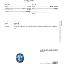 Jewels Aficionado Sapphire And Diamond Halo Ring -Horaluxis Sales Store sapphire and diamond halo ring wrist aficionado 41028737237236